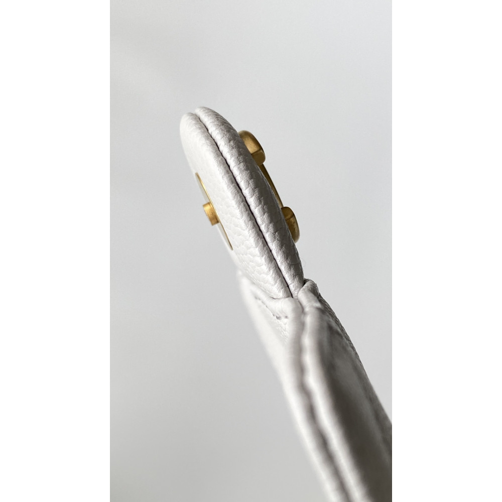 Chanel Small 25Bag Limited Edition New Color