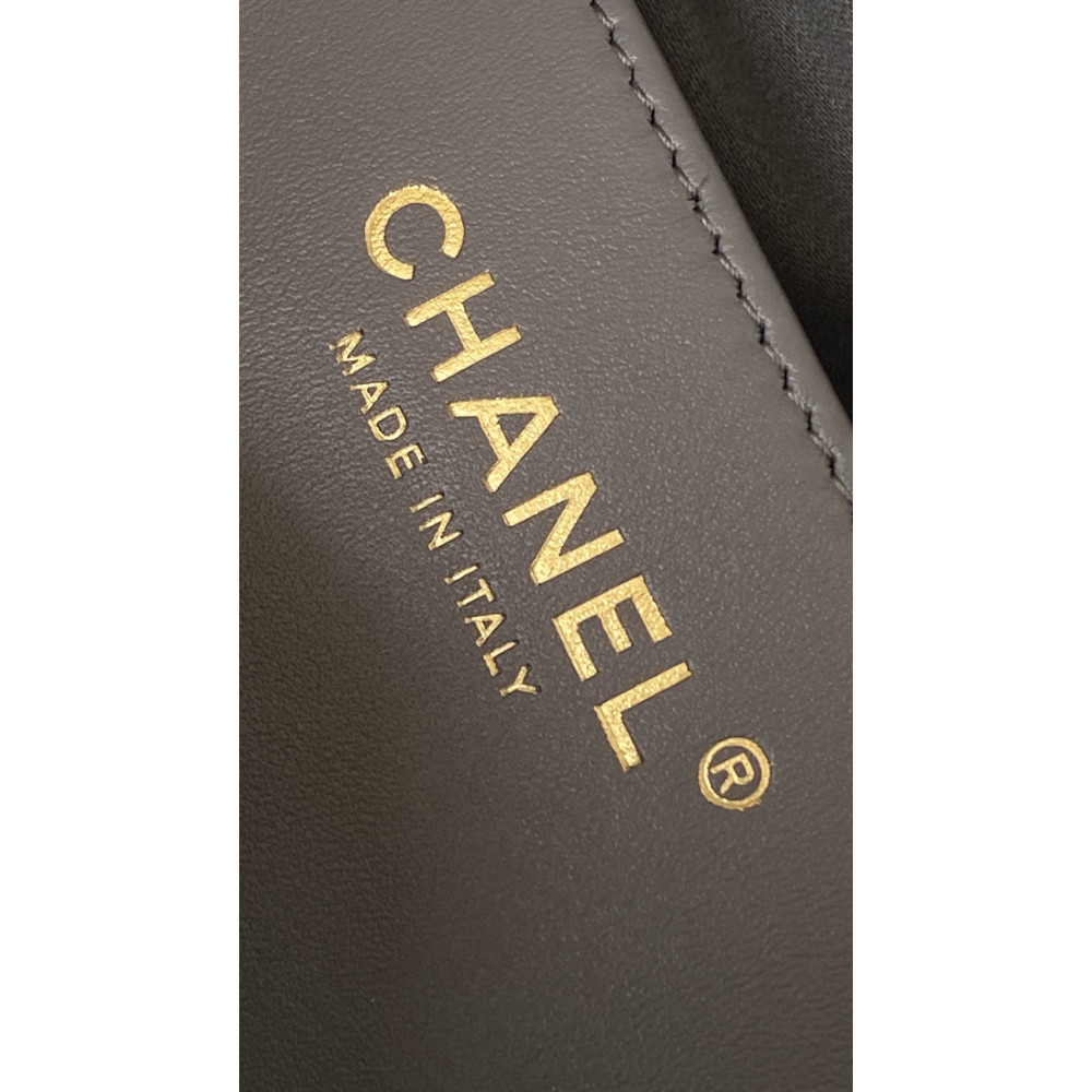 Chanel Small 25Bag Limited Edition New Color
