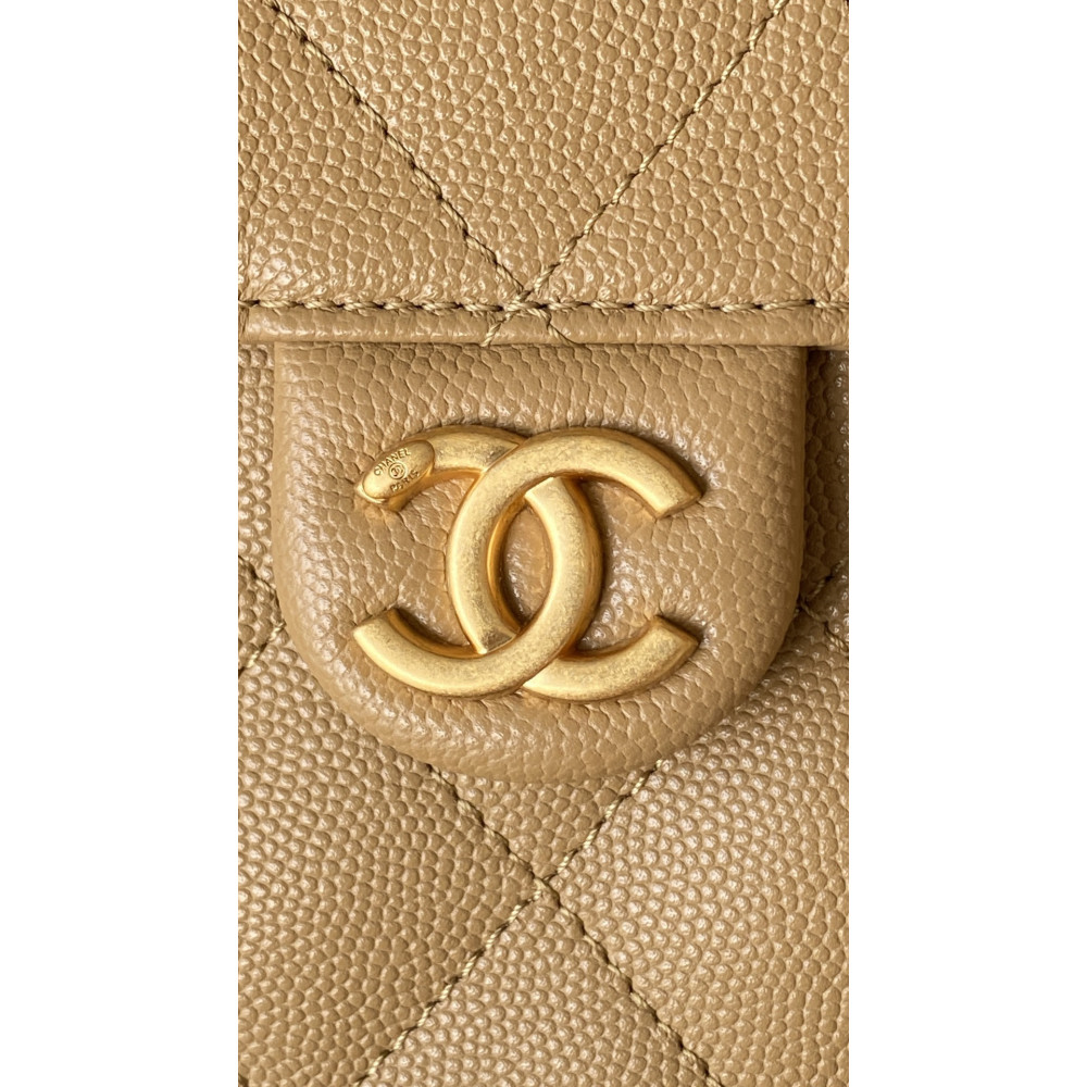 Chanel Small 25Bag 25A Limited Edition New Color!