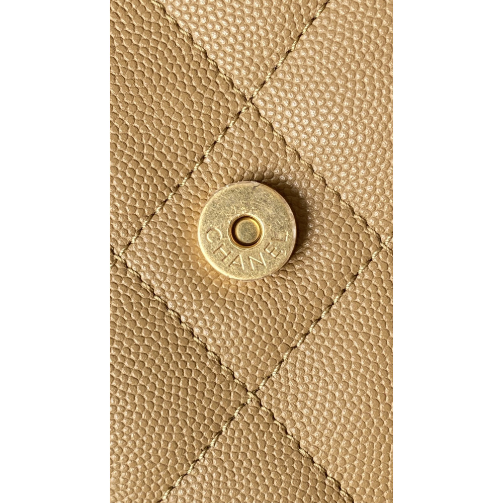 Chanel Small 25Bag 25A Limited Edition New Color!