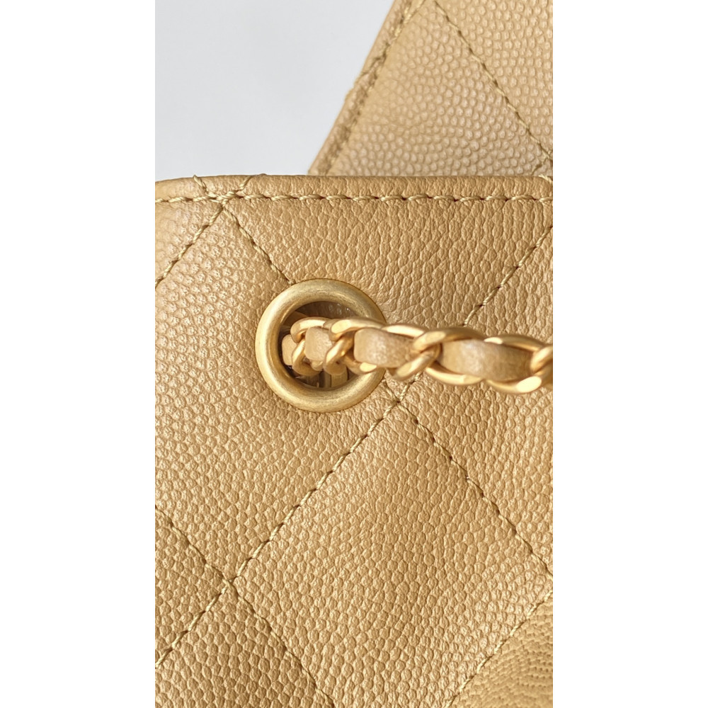 Chanel Small 25Bag 25A Limited Edition New Color!