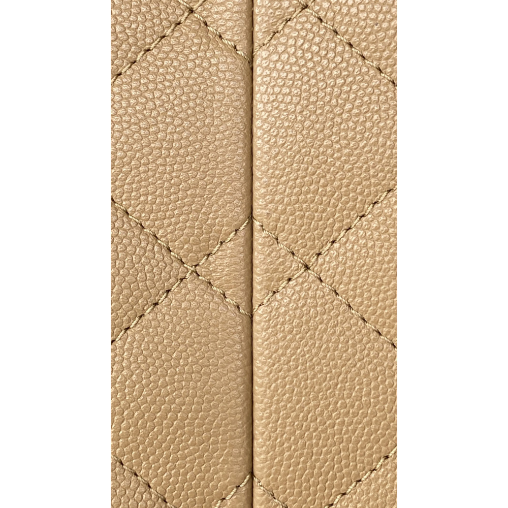 Chanel Small 25Bag 25A Limited Edition New Color!