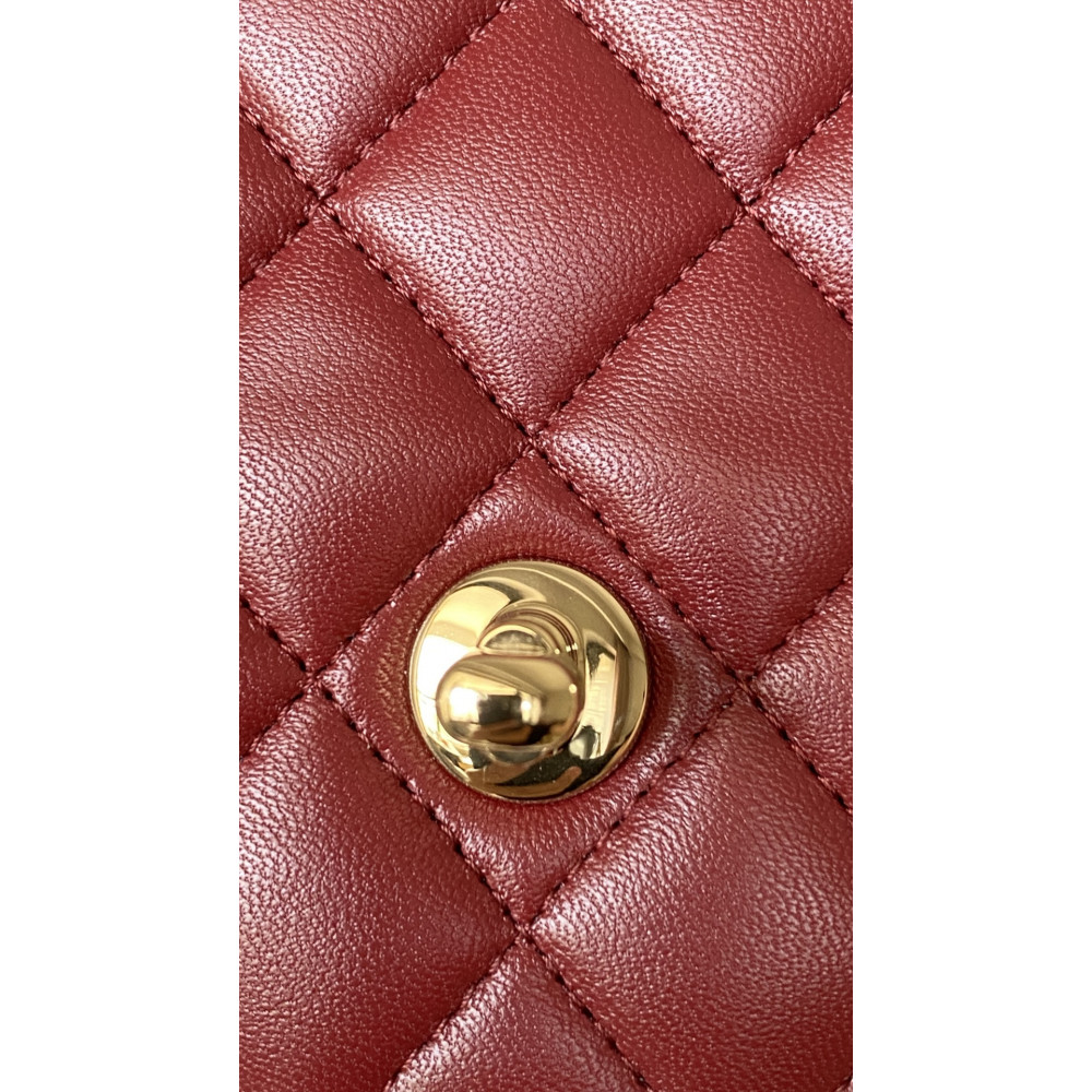 Chanel CF Mini Handle Bag!