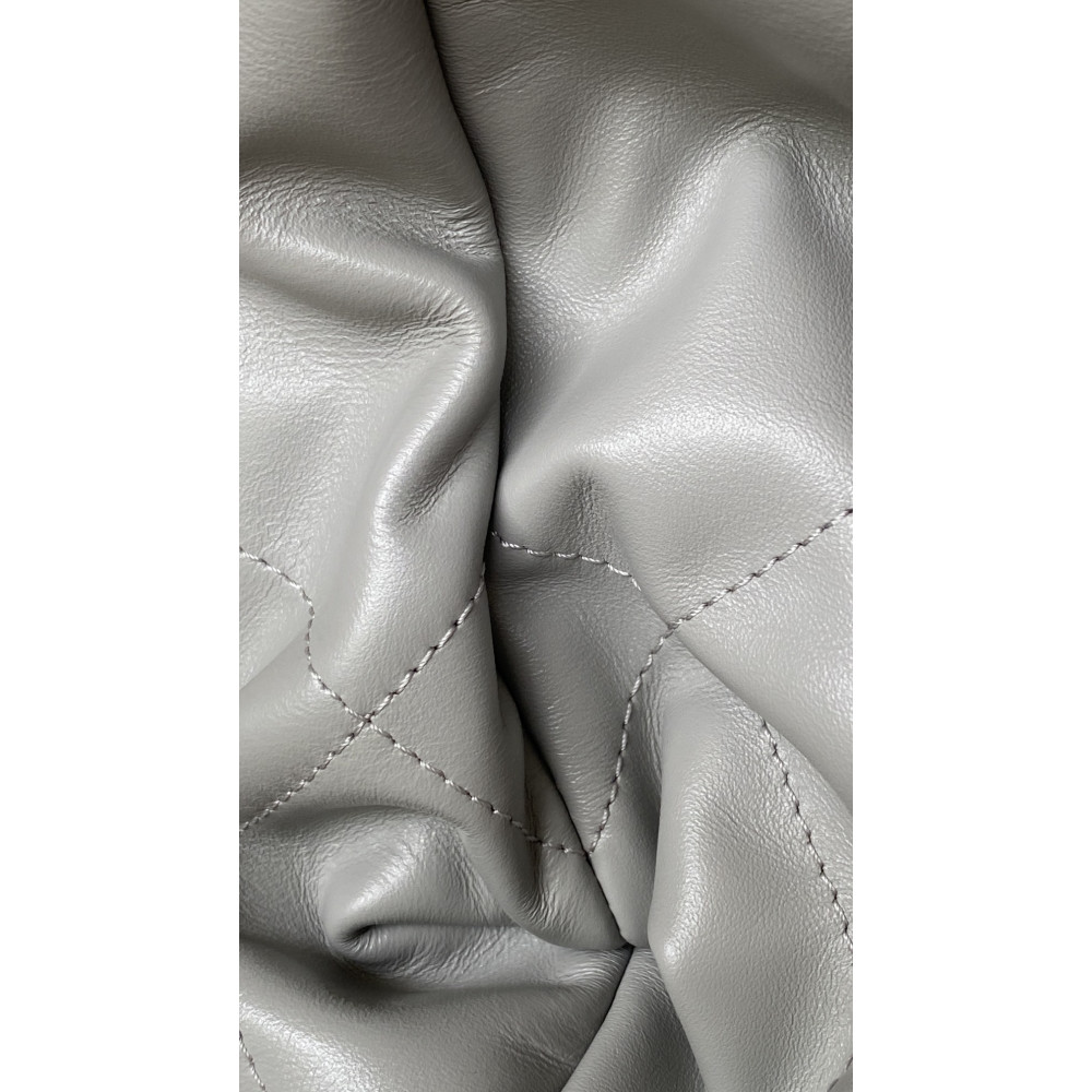 Chanel 23C light gray mini 22Bag