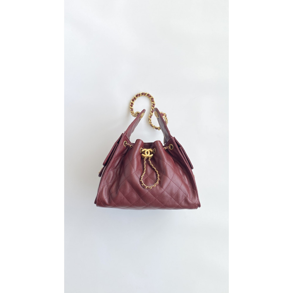 Chanel 25 Bag Small Hobo Boho Bag!