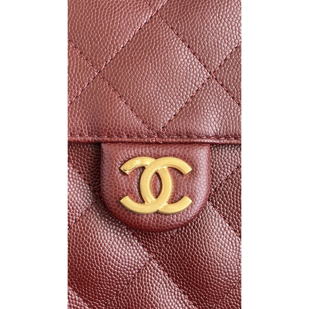 Chanel 25 Bag Small Hobo Boho Bag!