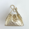 Chanel 25 Bag Small Hobo Boho Bag!