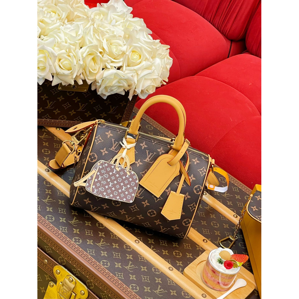 Louis Vuitton M24443 Speedy P9 Bandoulière 25 handbag
