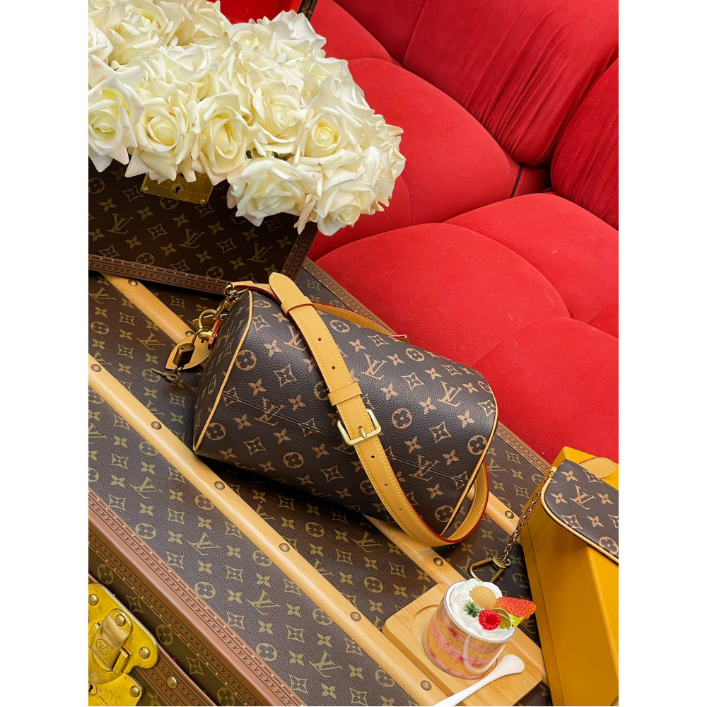 Louis Vuitton M24443 Speedy P9 Bandoulière 25 handbag